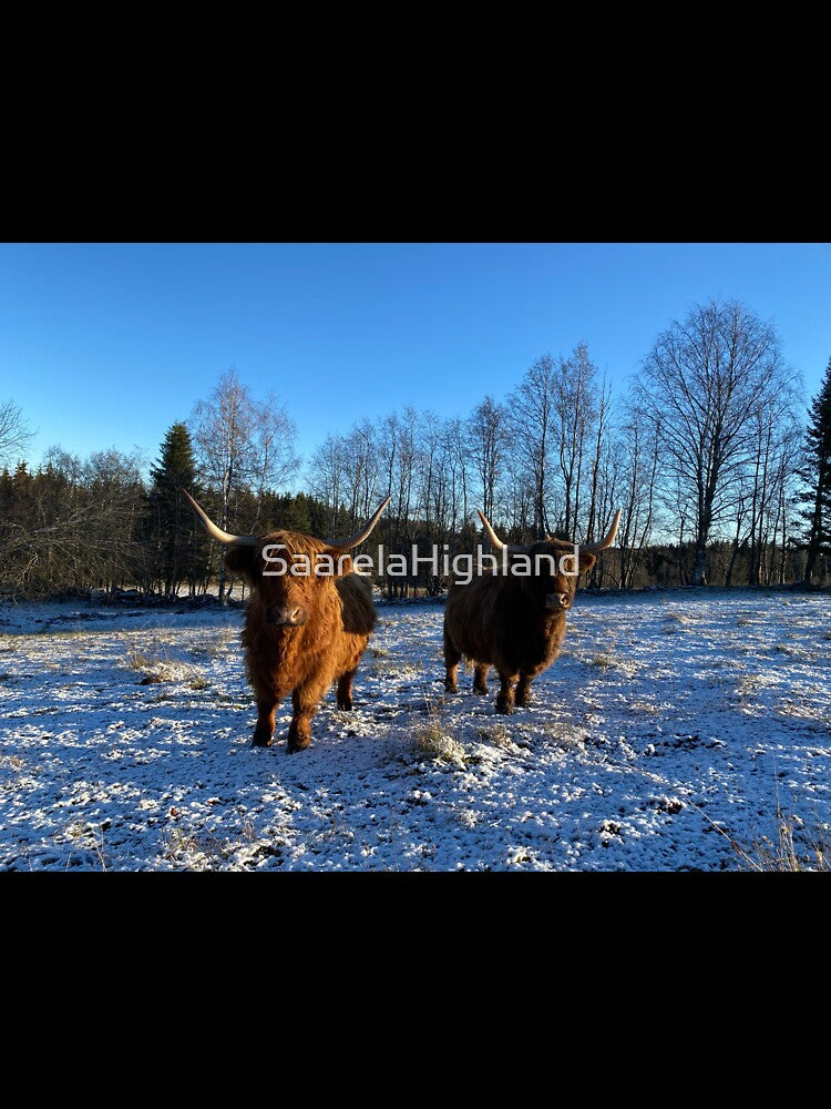 Scottish Highland Cattle Cows 3064 by SaarelaHighland