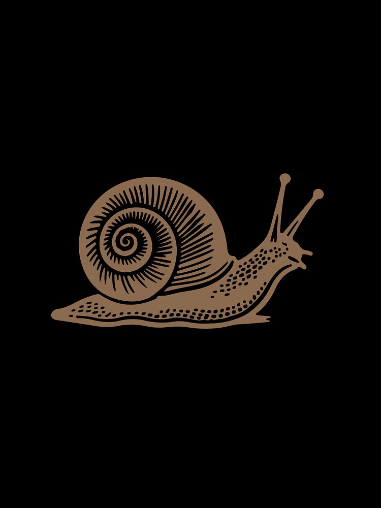 Minimalist Snail Design by JollyCritters