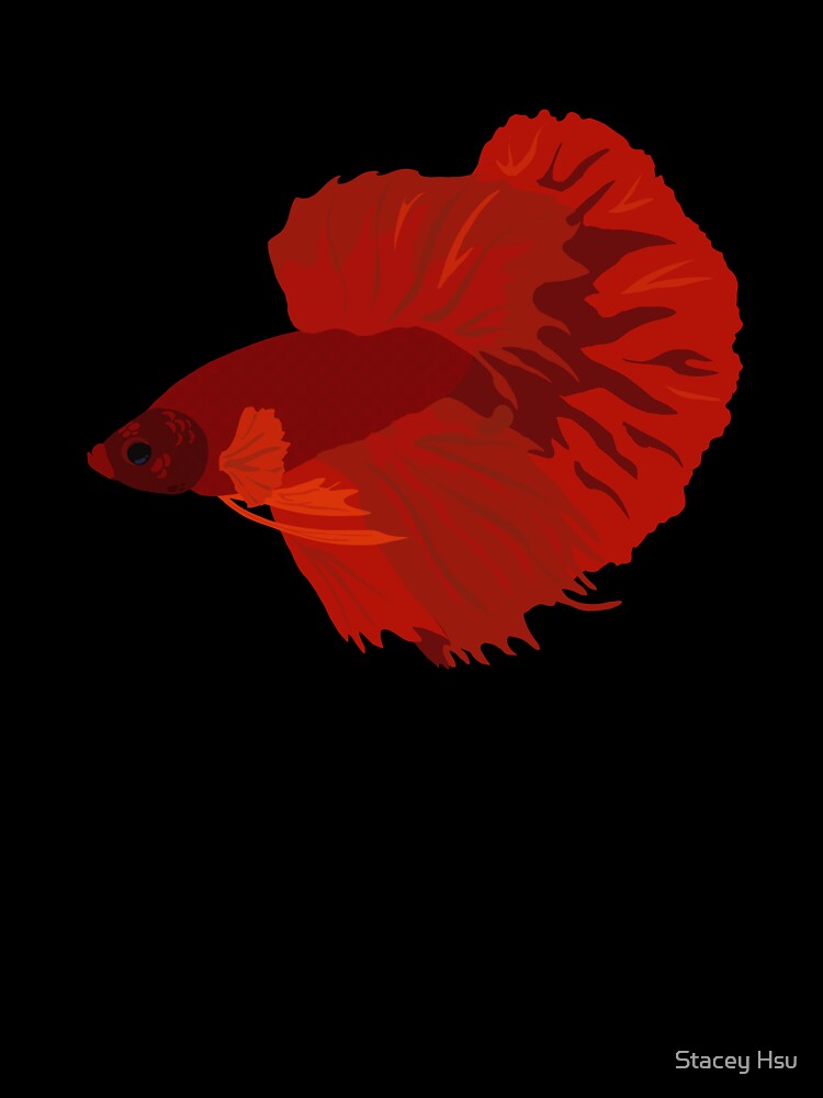 Betta Fish Illustration by Furkid Studio