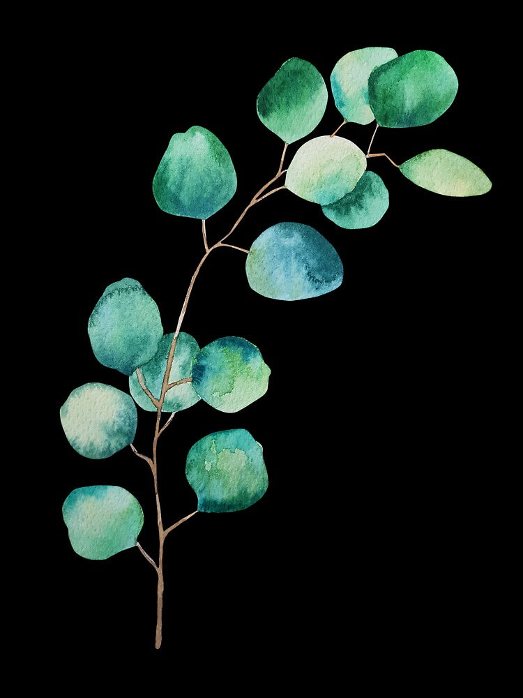 Design of eucalyptus branches watercolor green leaves by Createssy