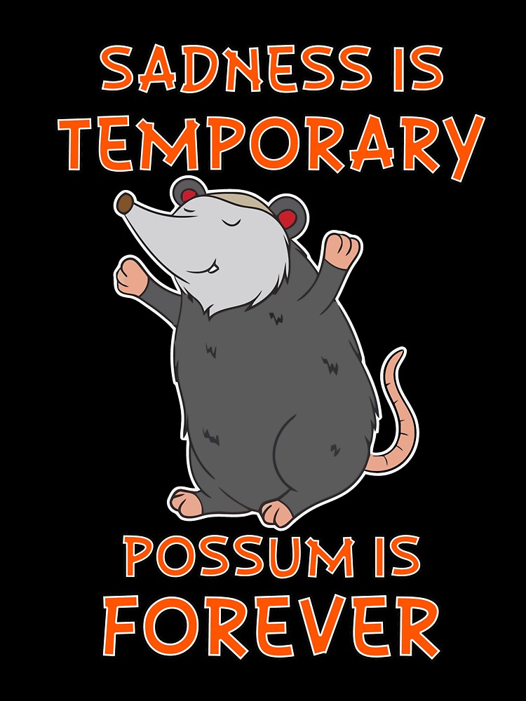 Sadness Is Temporary Possum Is Forever by hpsagor