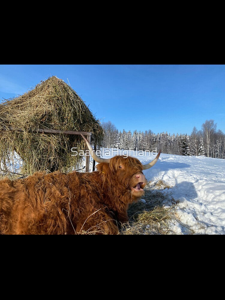 Scottish Highland Cattle Cow 3224 by SaarelaHighland