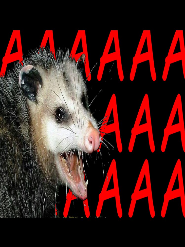 AAAAA POSSUM by royalblewitup