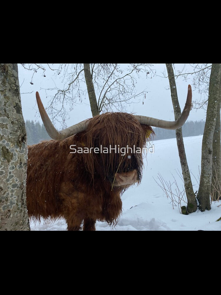 Scottish Highland Cattle Cow 3284 by SaarelaHighland