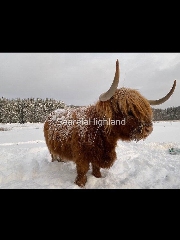 Scottish Highland Cattle Cow 3102 by SaarelaHighland