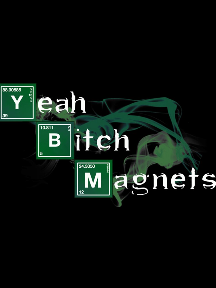 Yeah Bitch Magnets by maisonwander