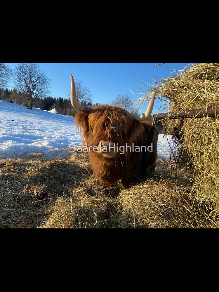 Scottish Highland Cattle Cow 3249 by SaarelaHighland