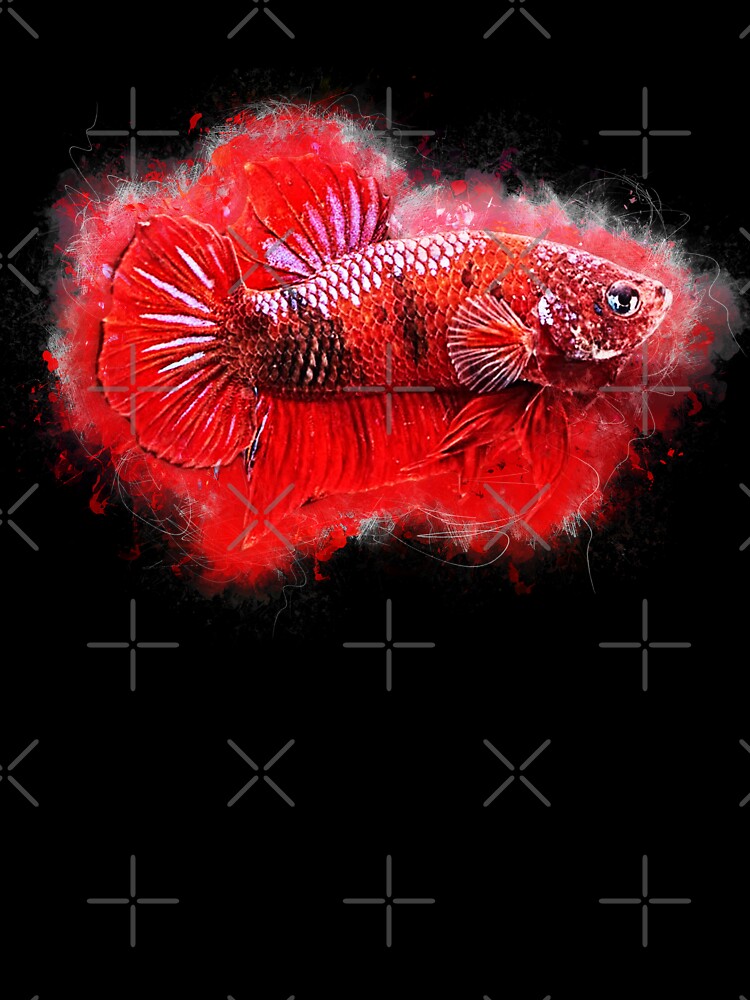 Fighting fish Hellboy - Betta splendens. by AquariumLutter