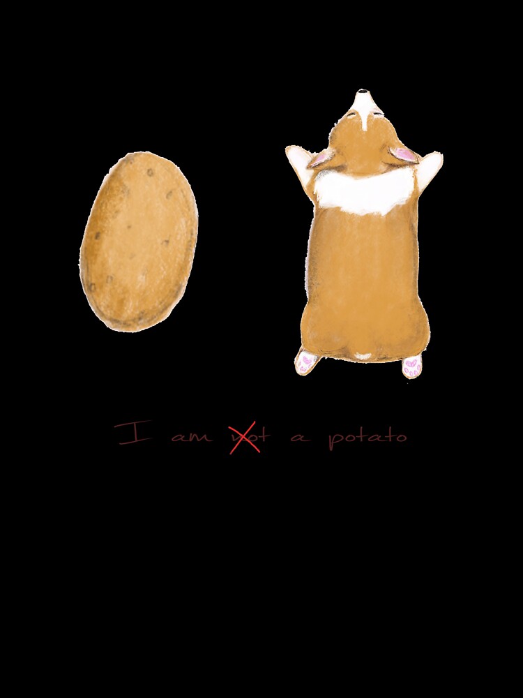 I am {not} a potato by minuminu