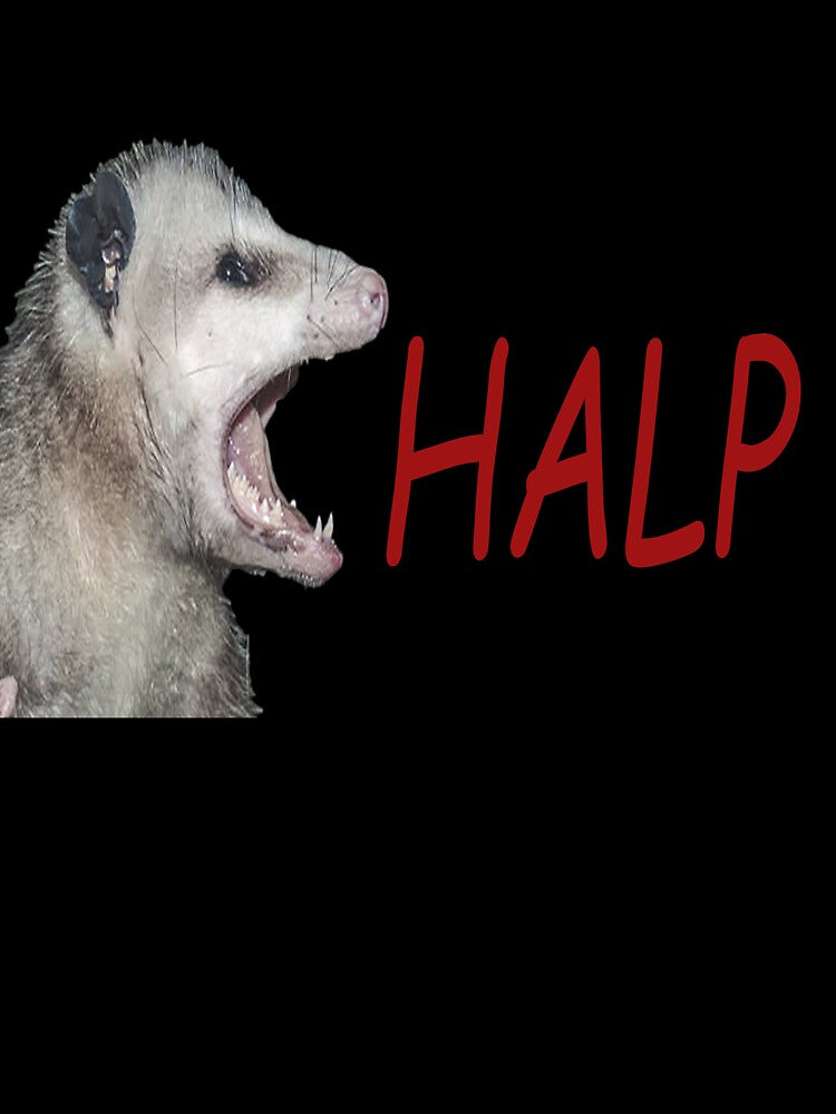 HALP OPOSSUM by royalblewitup