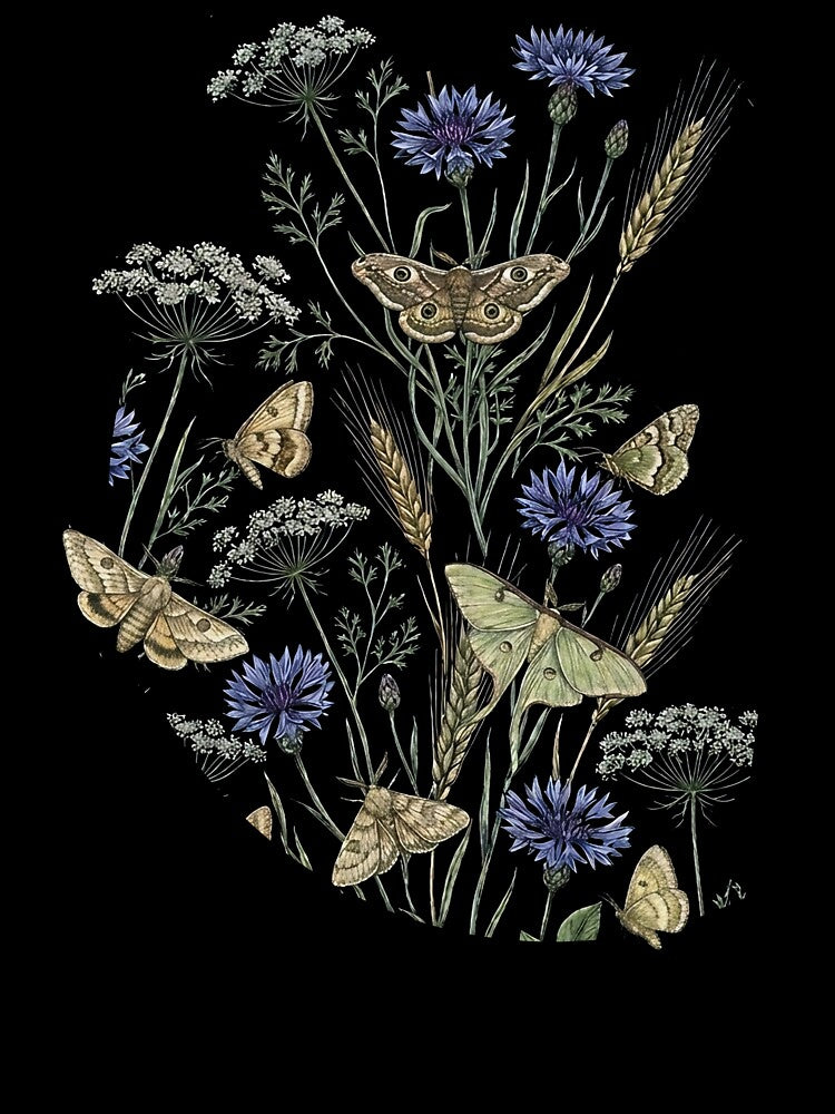 Dark Enchanted Night Garden Moth and Wildflower Pattern by LinaValearte