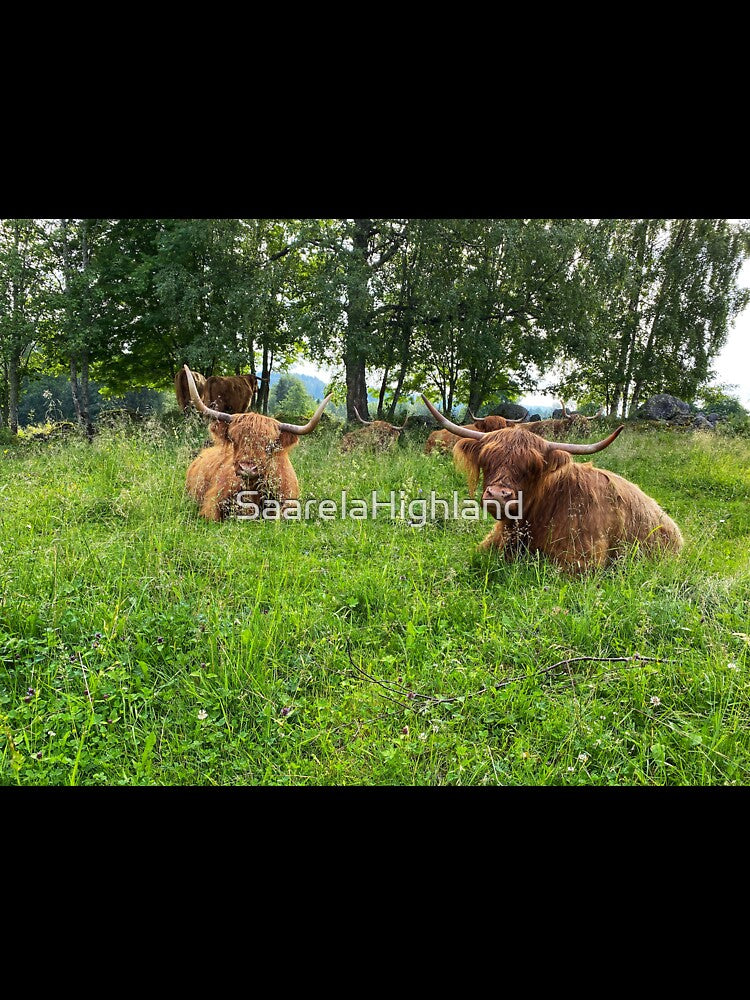 Scottish Highland Cattle Cows 2892 by SaarelaHighland