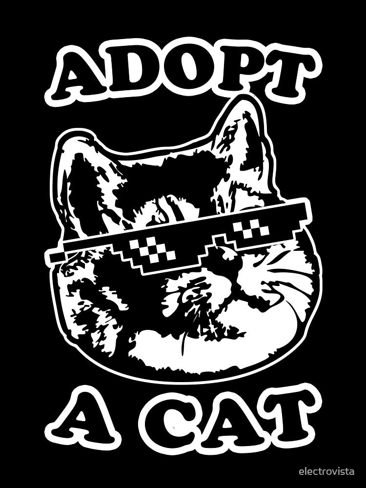 Adopt a Cat - A Real Internet Cat by electrovista