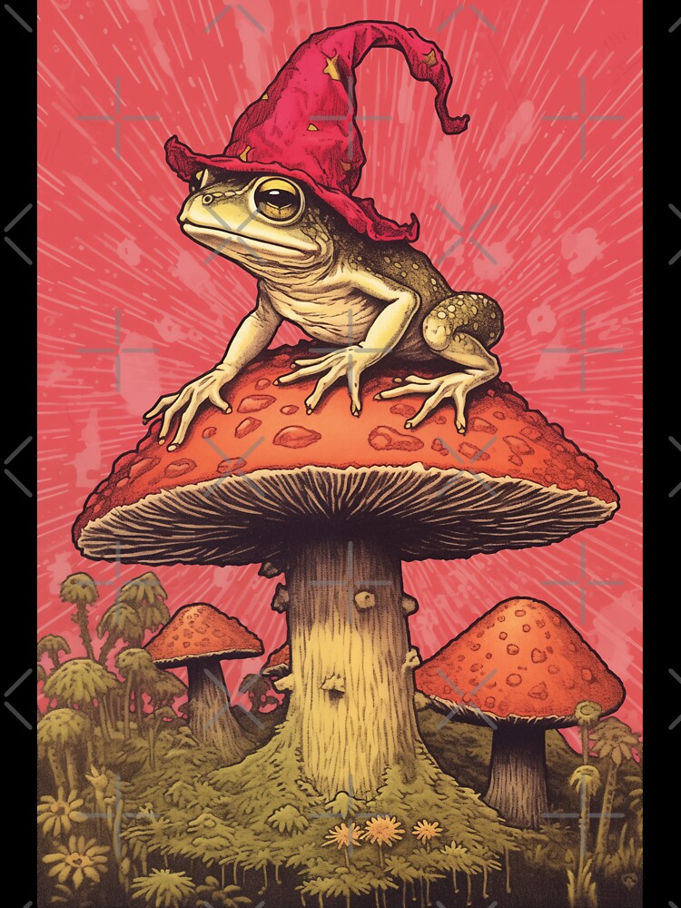 Wizard Frog Toad on Mushroom by egneveRArt