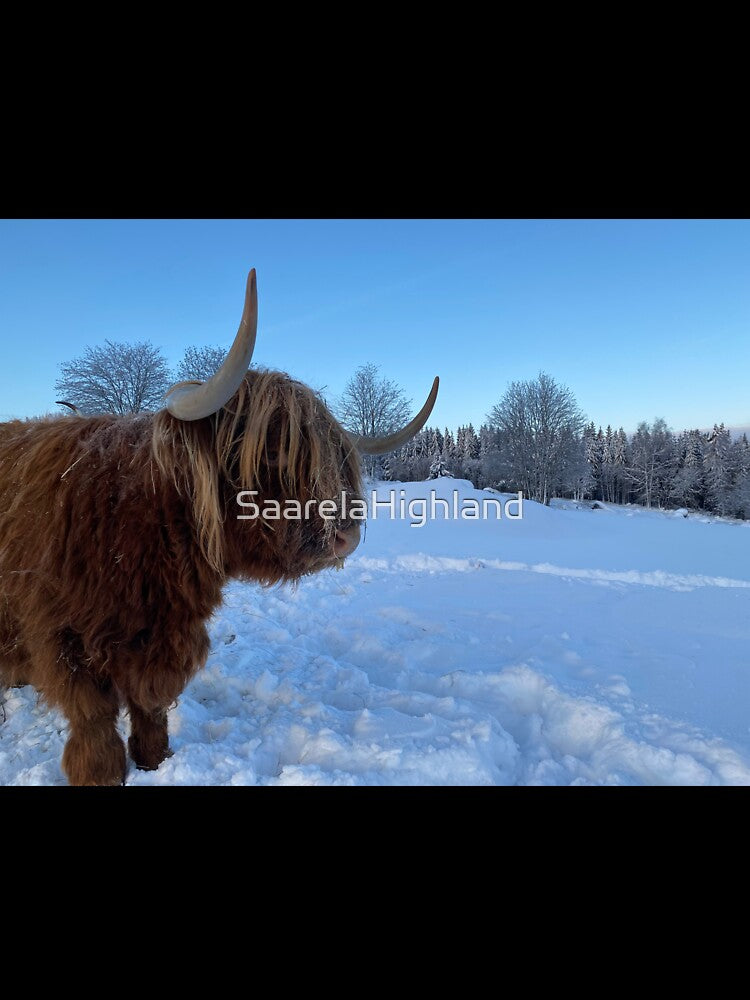 Scottish Highland Cattle Cow 3144 by SaarelaHighland