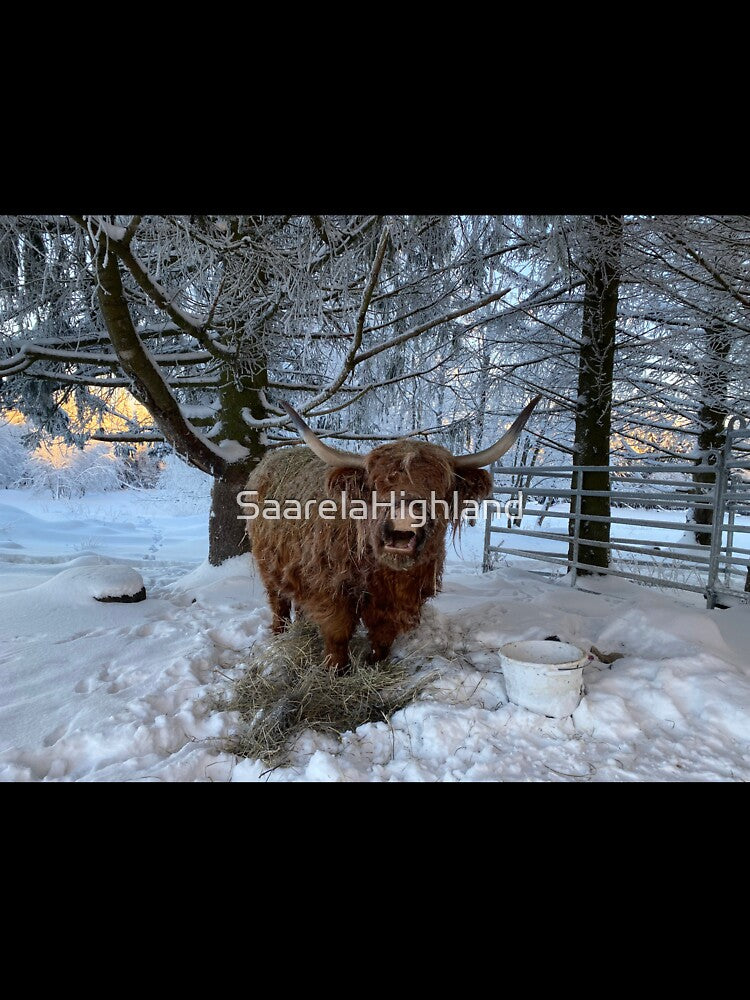 Scottish Highland Cattle Cow 3167 by SaarelaHighland