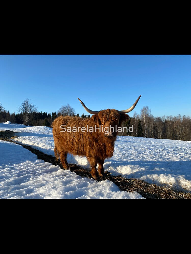 Scottish Highland Cattle Cow 3248 by SaarelaHighland