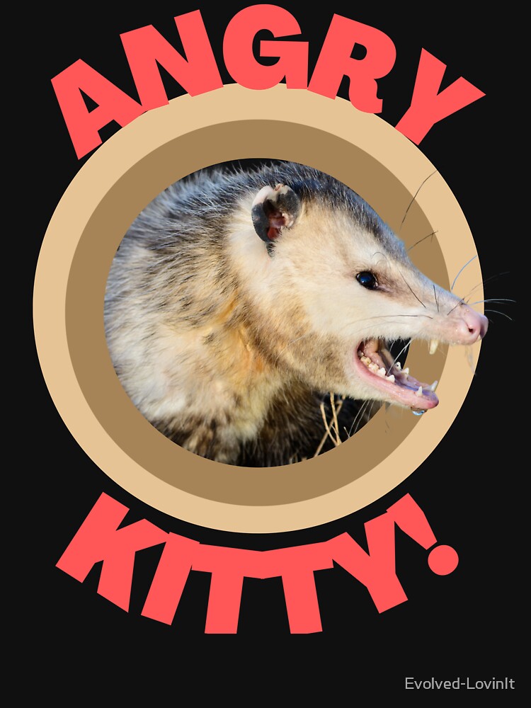 Angry Kitty - Possum Funny Animal by Evolved-LovinIt