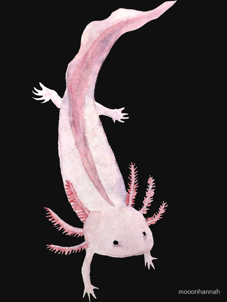 Pink Axolotl by mooonhannah