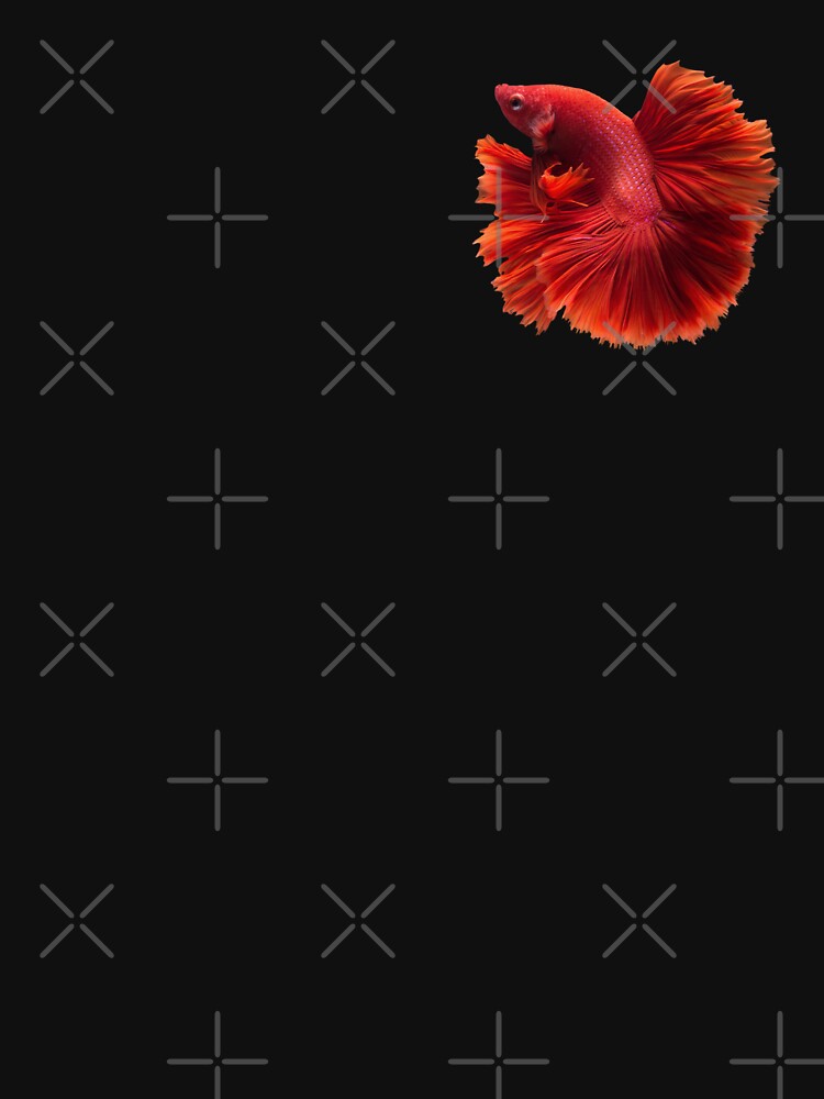 Betta: Halfmoon, Blood Red by Karl The Fish Guy