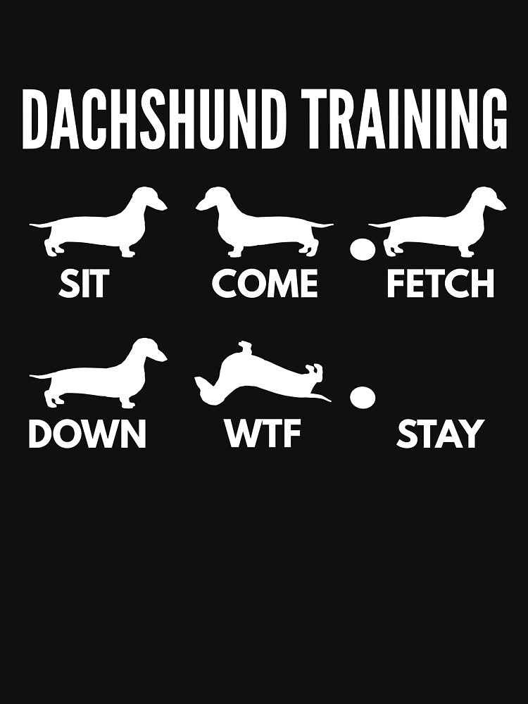 Dachshund Training Wiener Tricks by DoggyStyles