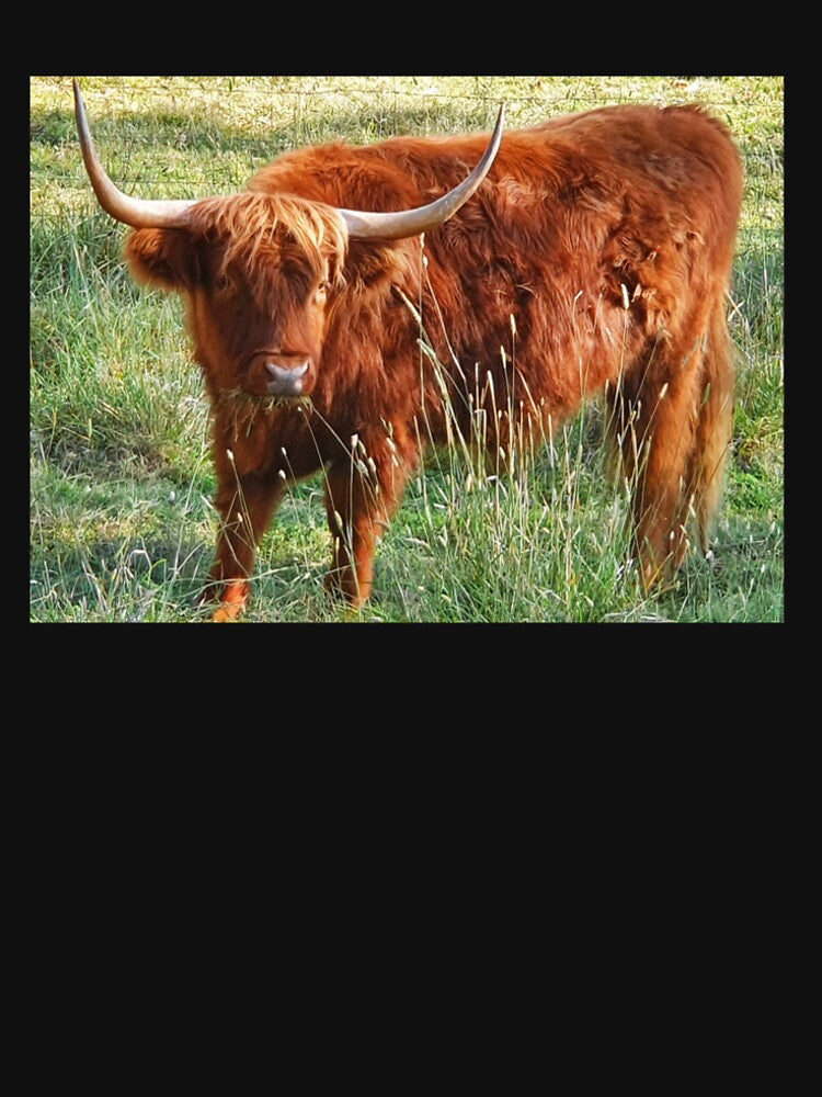 Don't have a highland cow by MumDi