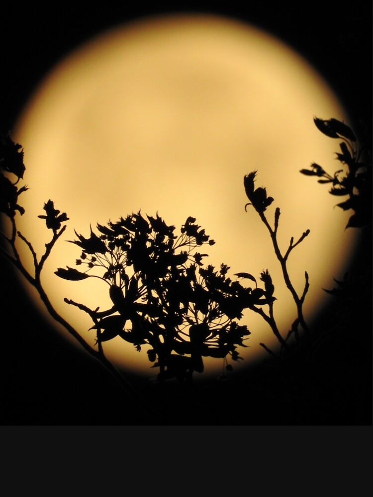 Flower Silhouettes in front of Moon by lunarliza