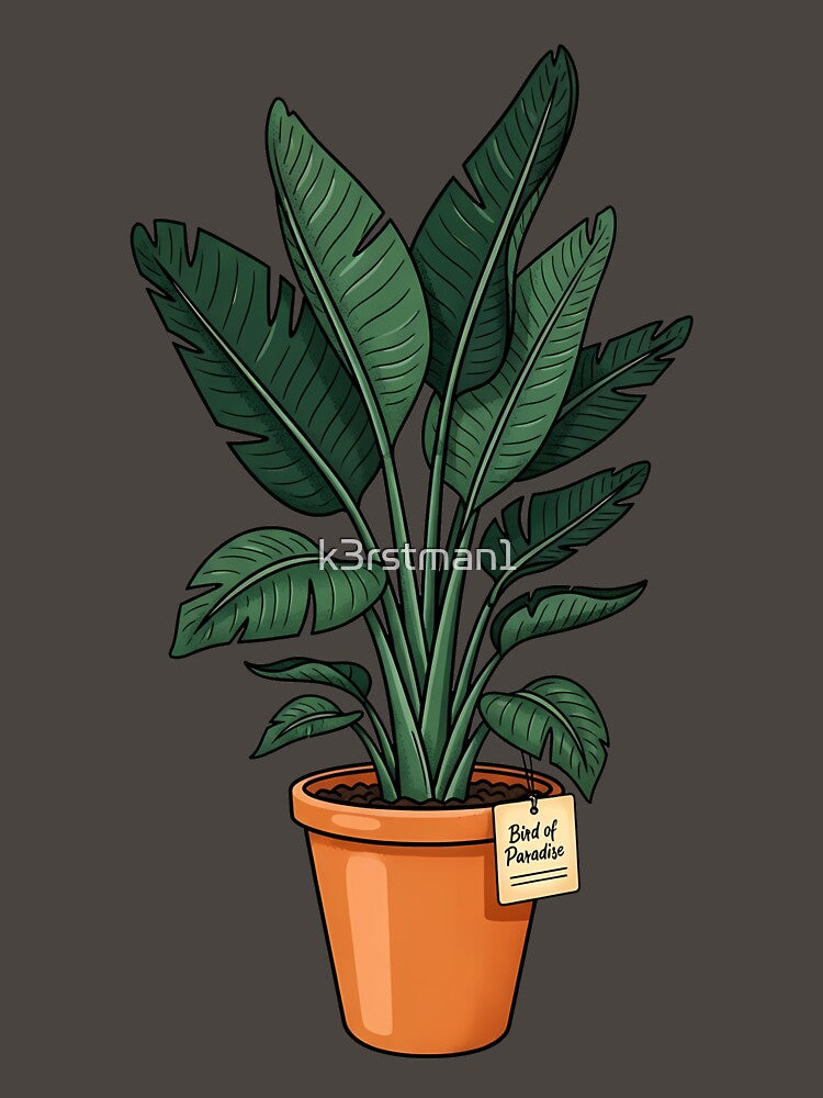 Bird of Paradise Tropical Potted Houseplant by k3rstman1
