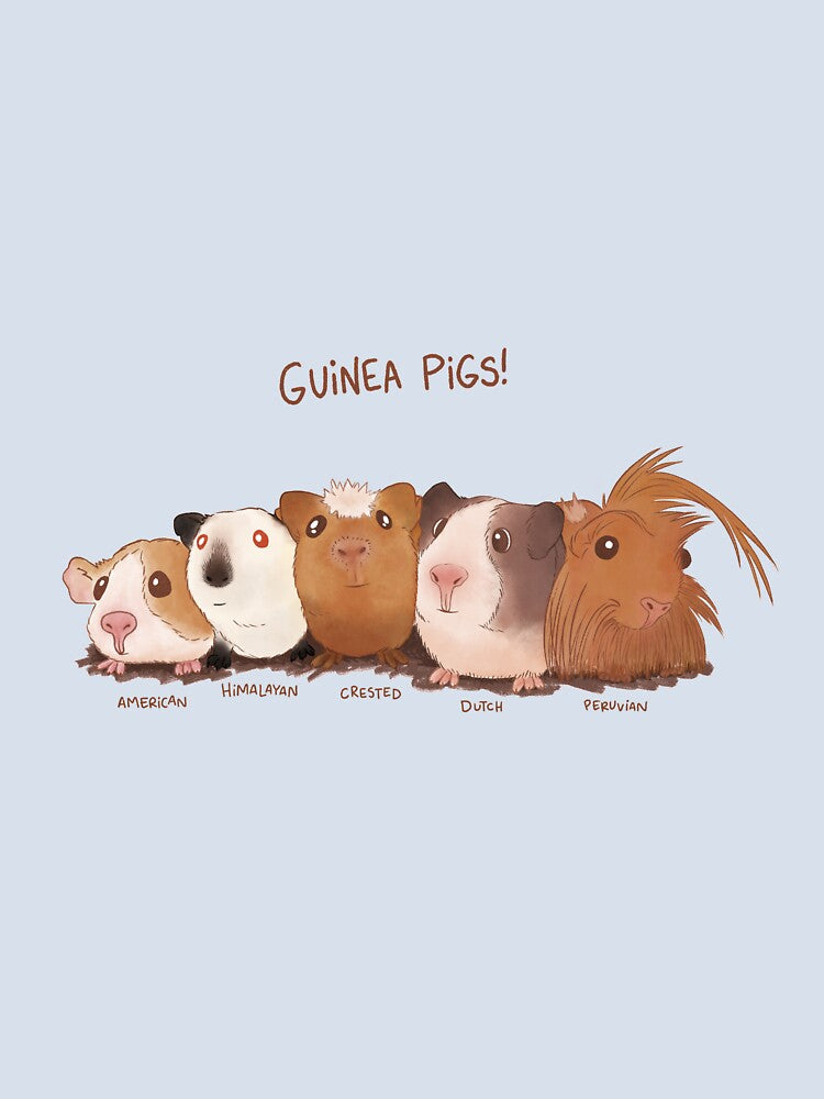 Guinea Pigs by Brittany Hefren