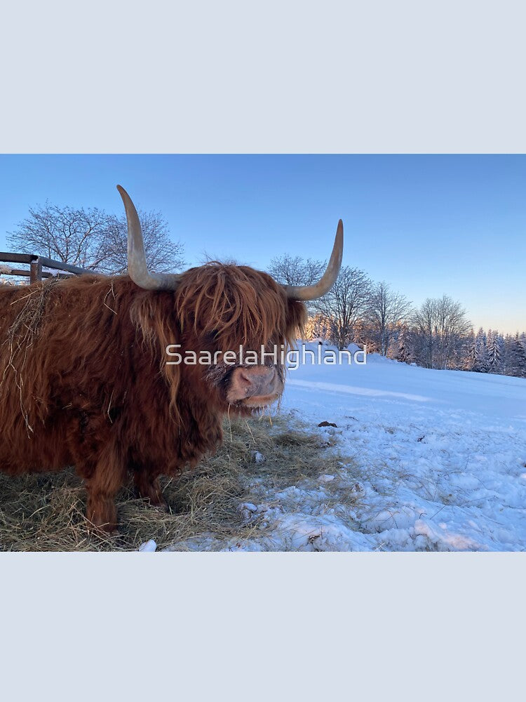 Scottish Highland Cattle Cow 3147 by SaarelaHighland