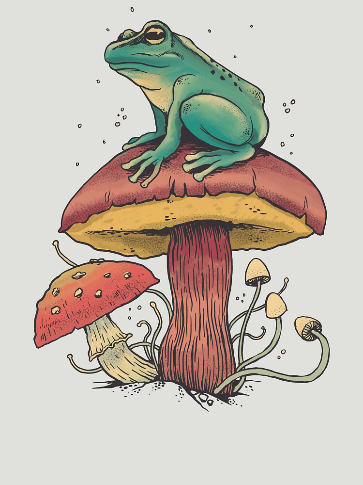 Mystical frog on mushrooms by ChristophK