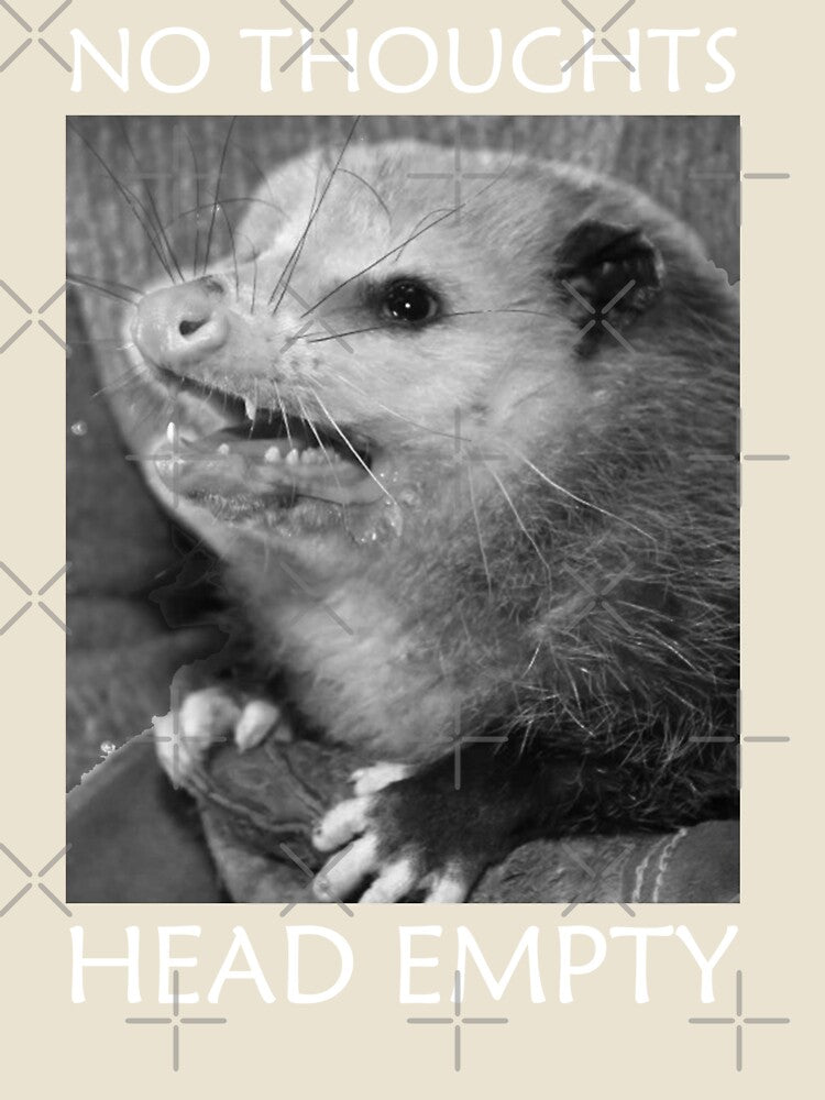 No thoughts head empty possum by BattleGoat