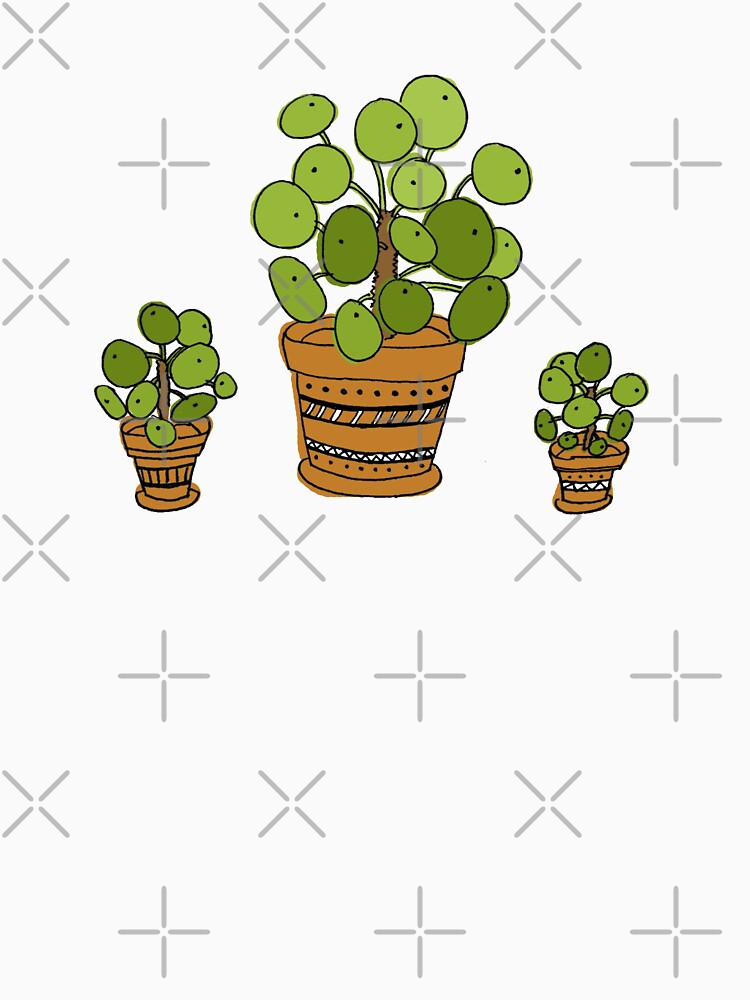 Pilea by lovethemplants