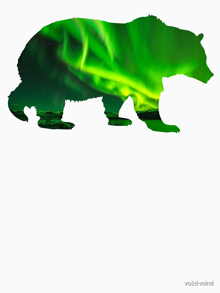 Bear with Aurora Borealis - Double Exposure by vo1d-mind