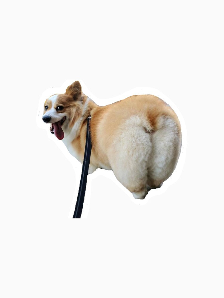corgi butt by katiehoff99