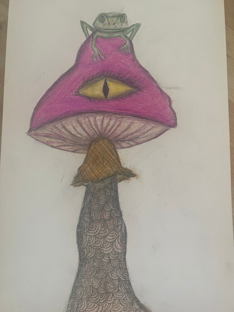 Frog on a silly mushroom by othelielien