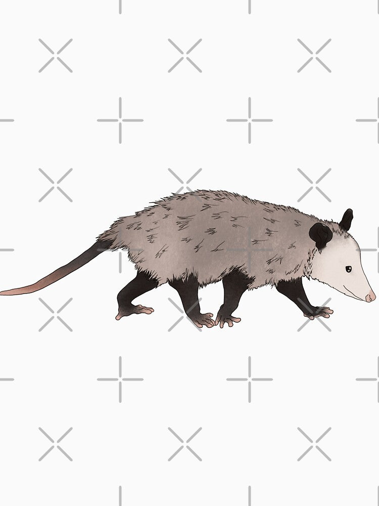 It’s a opossum by BlackSquirrelCC