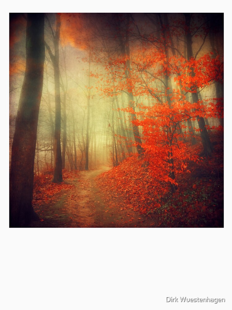 fire walk - forest in autumn colours by Dyrk Wyst Redbubble Shop