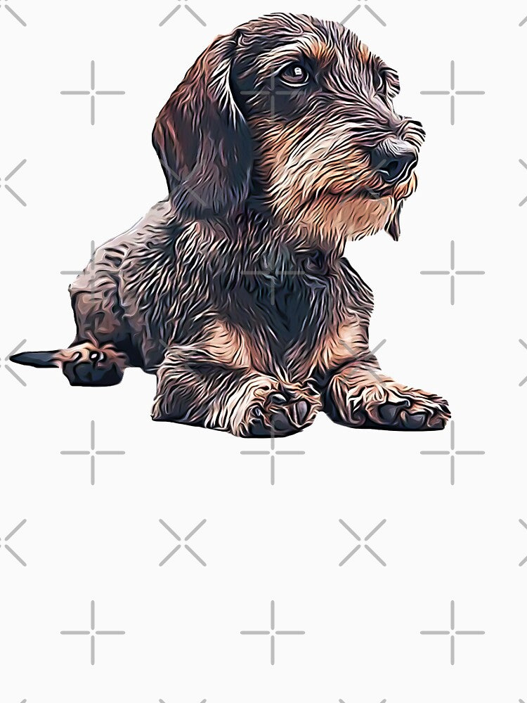 Dachshund Wire Haired by Elarex