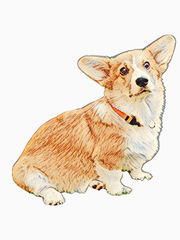 Sad Corgi by RiserTees