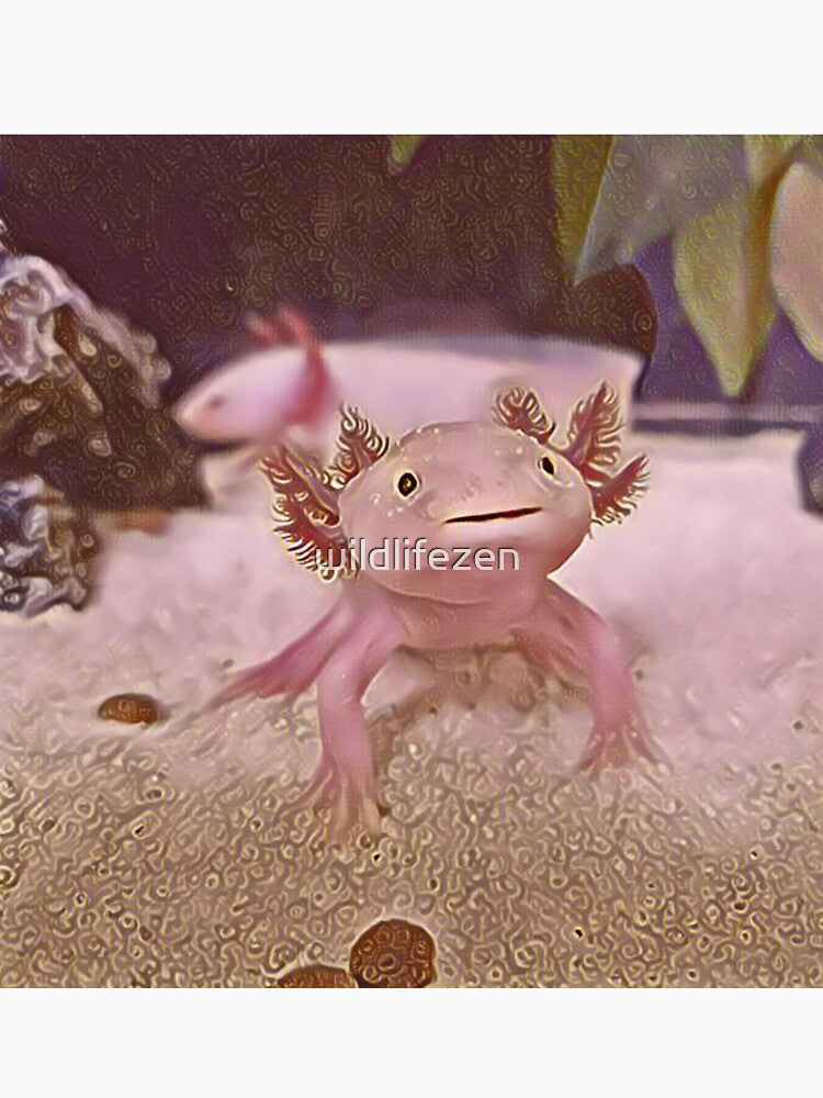 Pink and Gold Axolotl - axolotl art by wildlifezen