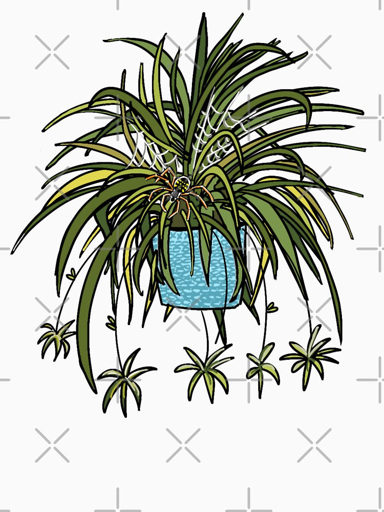 Spider in a Spider Plant by M.Greenlund  Content