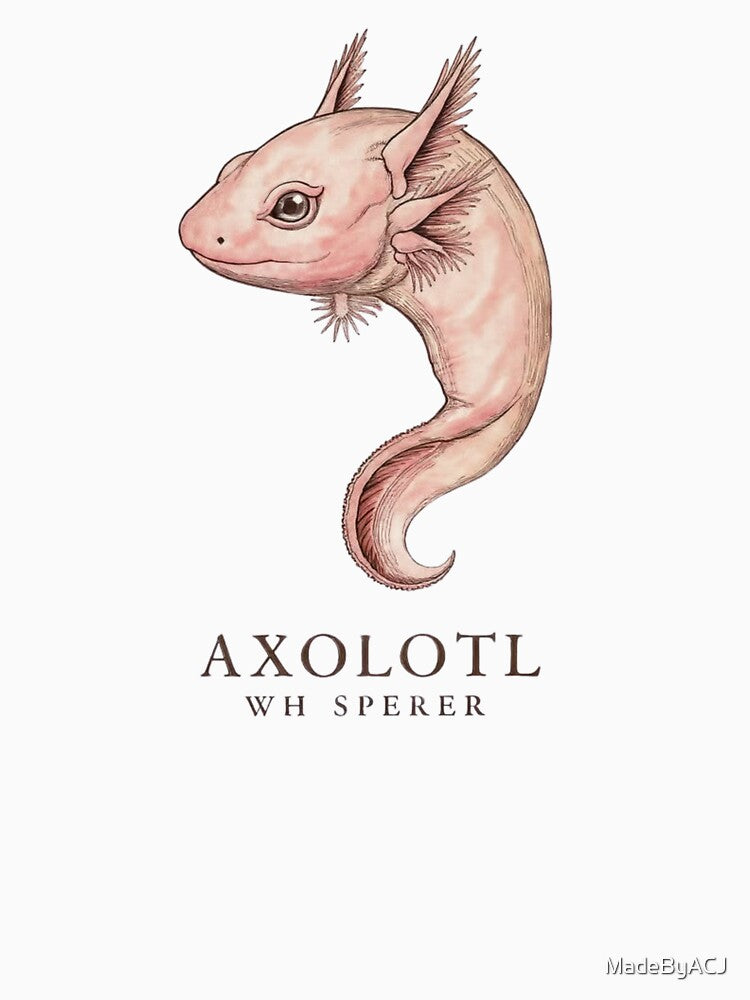Retro Cute Axolotl Whisperer – Pastel Pink Axolotl Drawing – Funny Amphibian Lover Design by MadeByACJ