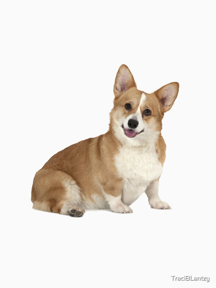 corgi puppy sticker by TraciBLantzy