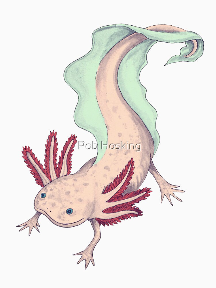 Cute Pink Axolotl by Pob Hosking
