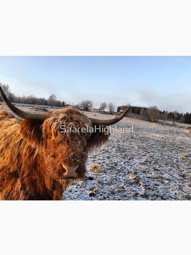 Scottish Highland Cattle Cow 1014 by SaarelaHighland