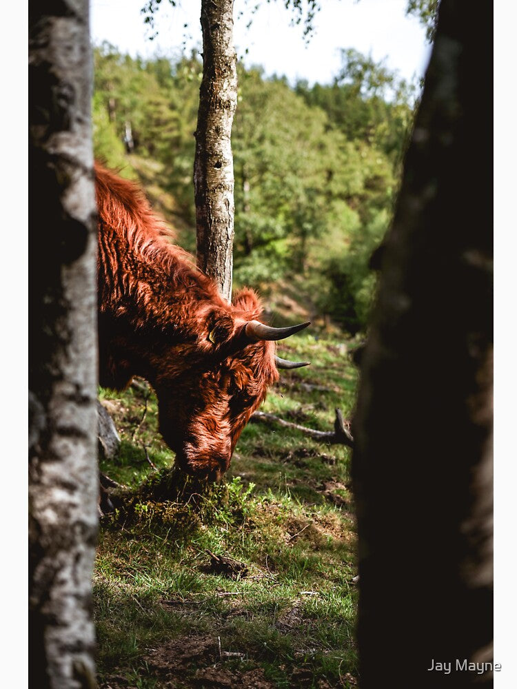 The Highlander by Jay Mayne