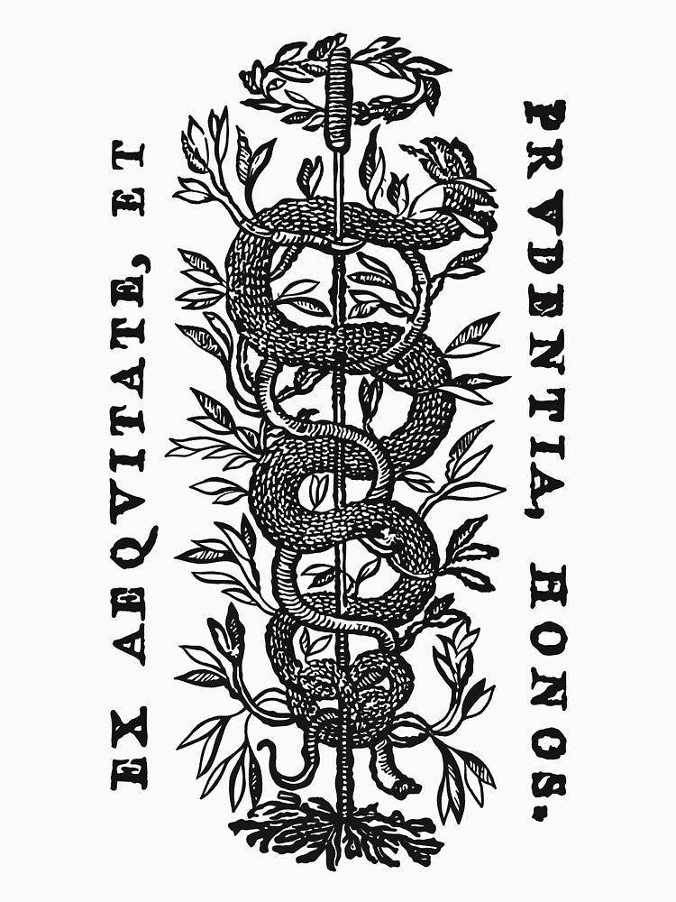 Medieval Occult Snake and Sword Etching - Black by Arcane Orchid