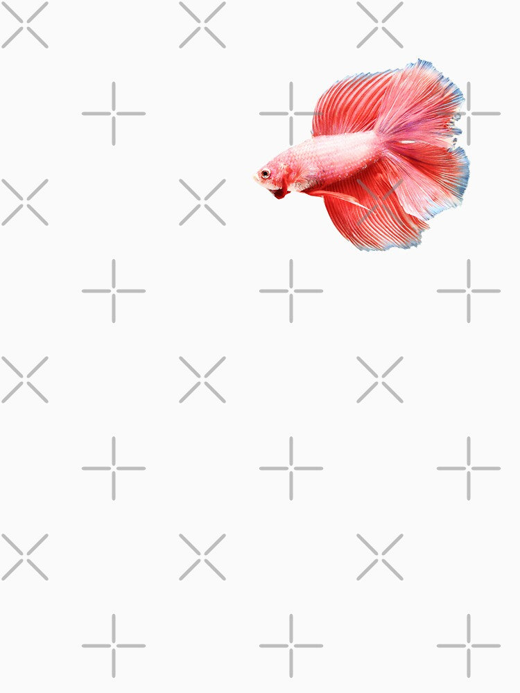 Betta: Delta-tail, Rosy Pink by Karl The Fish Guy
