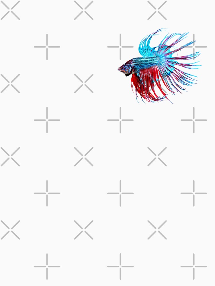 Betta: Crowntail 1 by Karl The Fish Guy